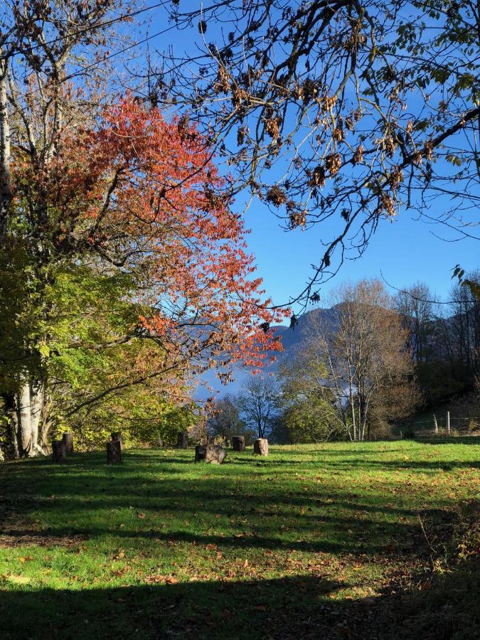 Aillon-le-Vieux Chapamama Bed & Breakfast エクステリア 写真