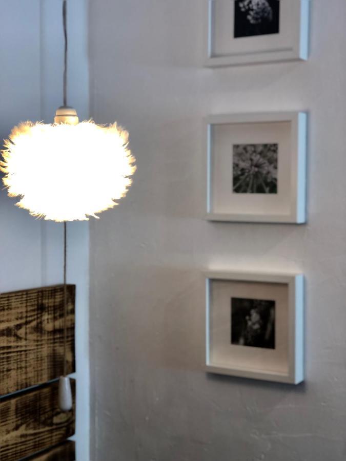 Aillon-le-Vieux Chapamama Bed & Breakfast エクステリア 写真